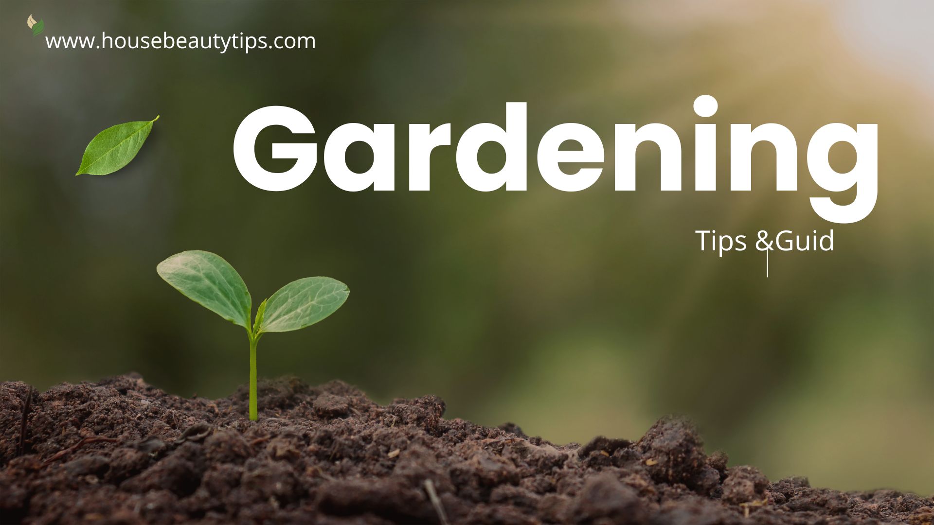 Kitchen Garden Benefits & Ideas for Beginners