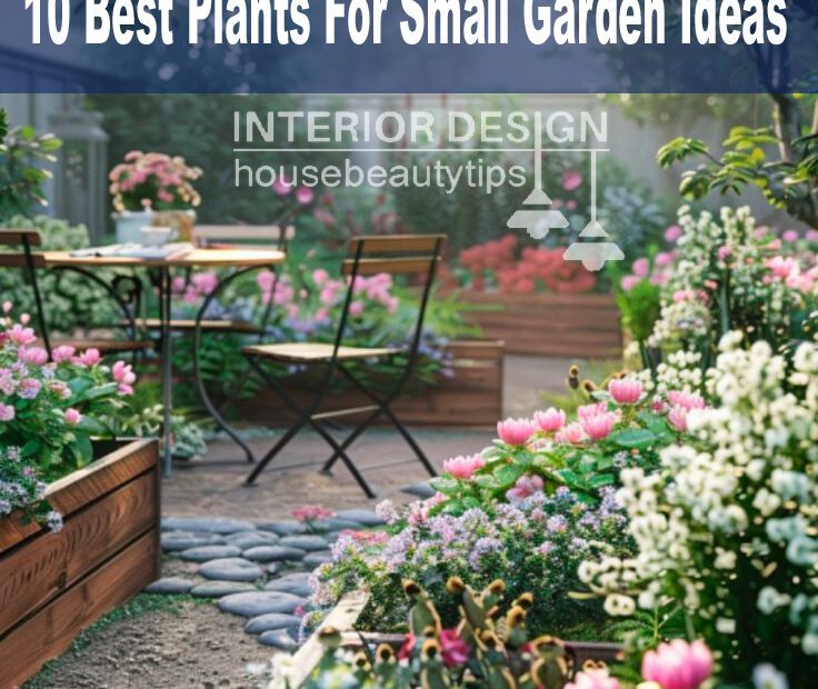 10 Best Plants For Small Garden Ideas