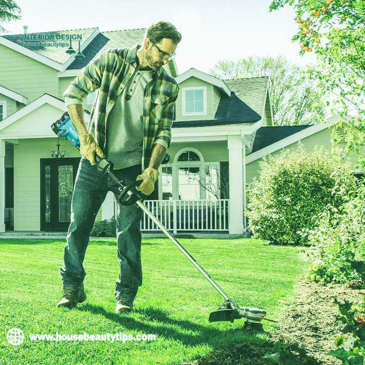 Small backyard landscaping