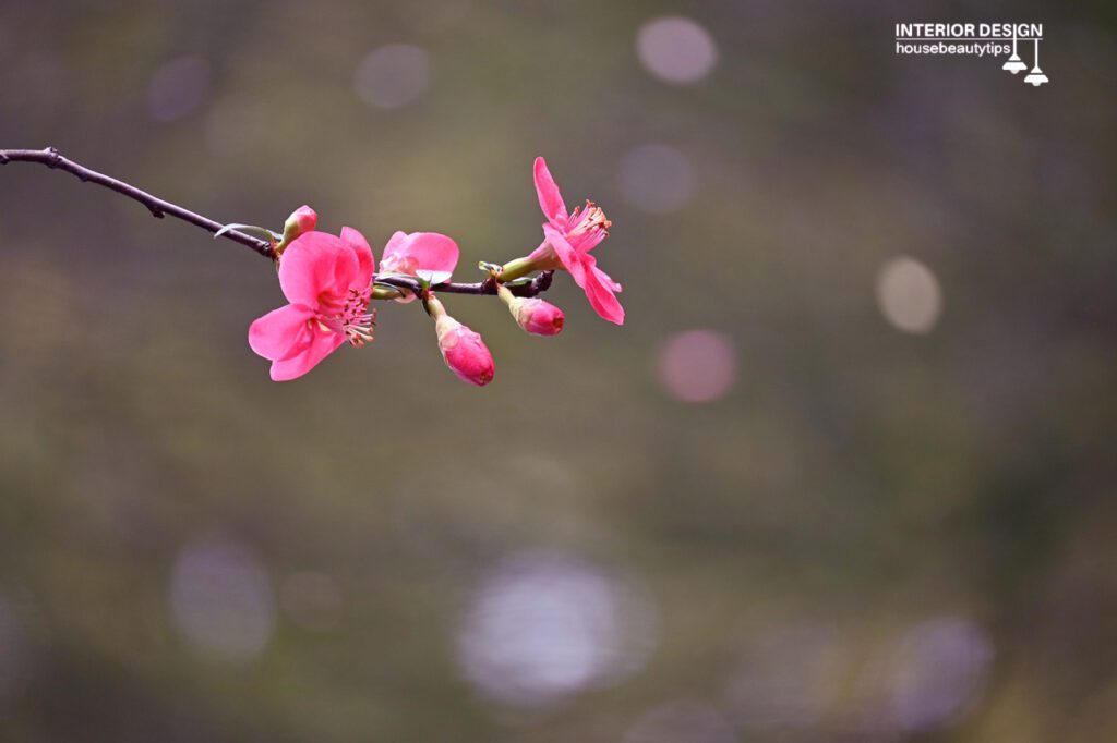 20 Best Tiny Flowers For The Garden (2024)