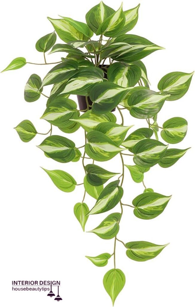 Amazon Golden Pothos ( best fake plants for bathroom )