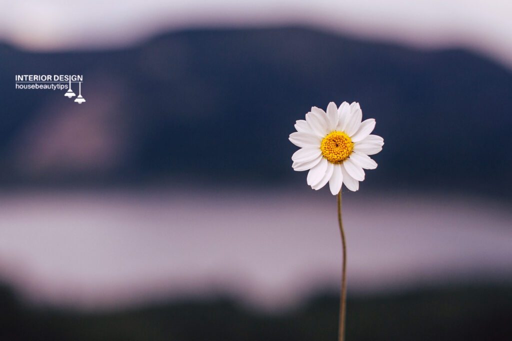 40 Best Tiny Flowers For The Garden (2024)