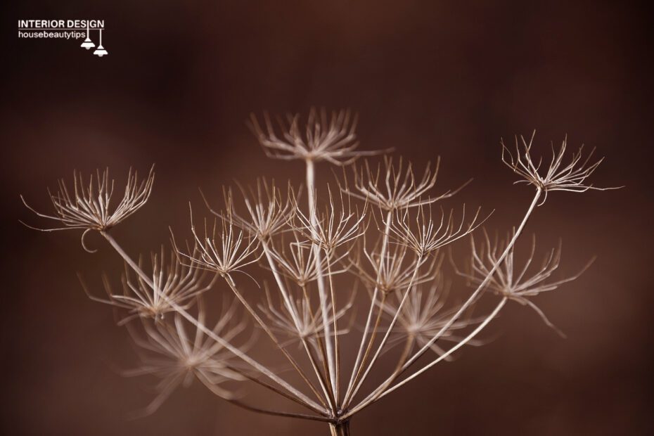 40 Best Tiny Flowers For The Garden (2024)